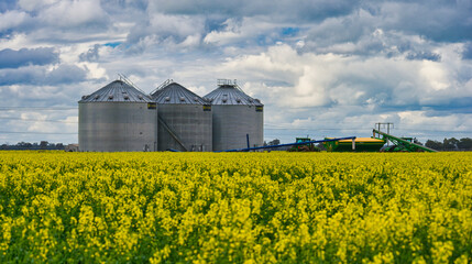 Farm equipment and silos on edge of canola crop © Alistair