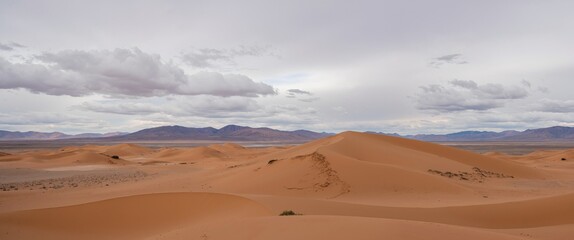 Obraz premium sand dunes in the sahara desert