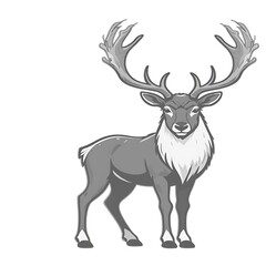 Obraz premium A majestic grayscale illustration of a male reindeer or caribou, standing proudly with large antlers. Isolated wild animal vector art for design