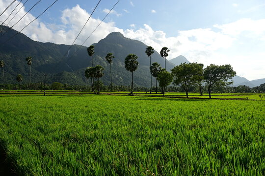 kollengode kerala