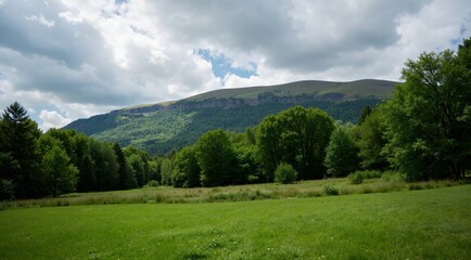 mountain landscape in the summer