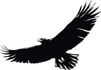 eagle silhouette vector
