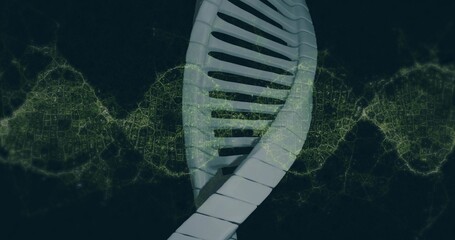 Twisting white 3D DNA helix spiraling in virtual environment, with glowing green network strands
