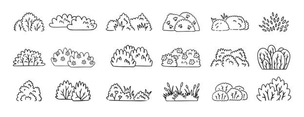 Bushes doodle hand drawn line icon set. Bushes clipart outline