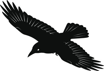 eagle vector illustration