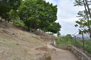 Fototapeta premium Peaceful pathway lined with trees and natural landscapes at Parque Mirador Independencia in Guadalajara, Jalisco