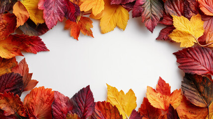 Obraz premium Beautiful autumn composition with empty space on white background