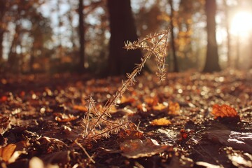 Obraz premium Detail of Dry Plant Stem Amidst Colorful Autumn Leaves on Ground