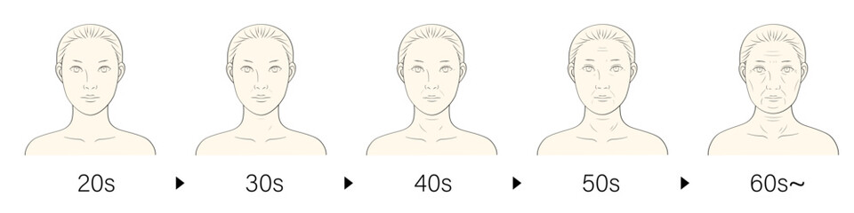 加齢 女性 年齢変化 20代から60代 顔アップ シンプルカラー線画イラスト
