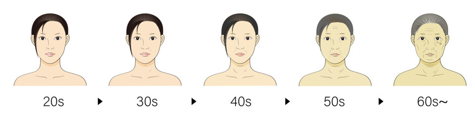加齢 女性 年齢変化 20代から60代 顔アップ カラーイラスト