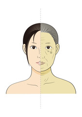 若い女性 高齢女性 顔比較 半顔 カラーイラスト