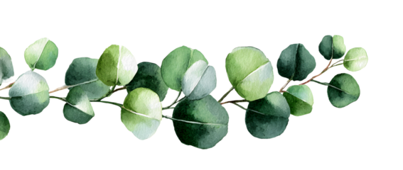 Watercolor modern decoratie element. Eucalyptus roun Green leaf Wreath, greeney branches, garland, borde, frame, elegant watercolo isolated, good for weddin invitation, card or print
