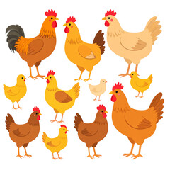 White isolated animal poultry vector with a set of chickens, hen, and rooster