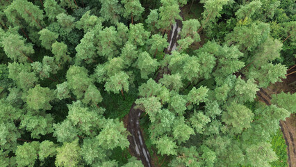 Aerial view of forest trail and farmland