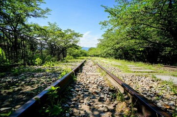 京都、蹴上インクラインの風景