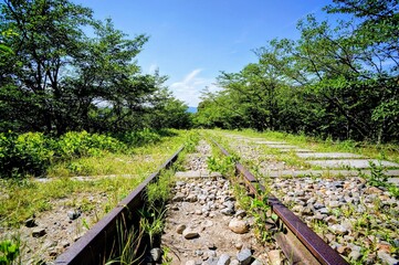 京都、蹴上インクラインの風景