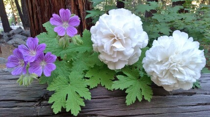 Three flowers, purple and white, on a rustic log