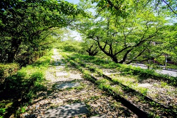 京都、蹴上インクラインの風景