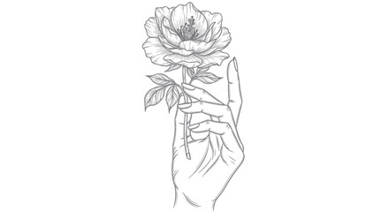Elegant hand illustration delicately holding a blooming peony artwork in minimalist monochrome