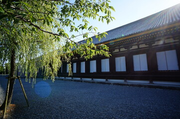 京都、三十三間堂の風景