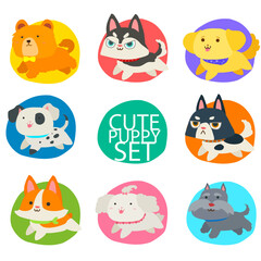 Cute puppy set