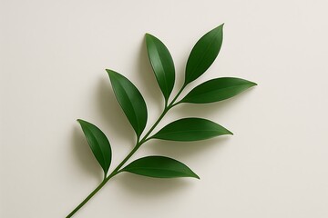 Fototapeta premium Single green leafy branch against a light background