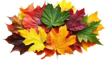Vibrant Collection of Autumn Leaves in Vivid Shades of Red, Yellow, and Orange on Transparent Background