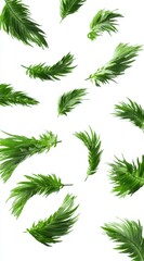 Floating Green Sprigs on White Background