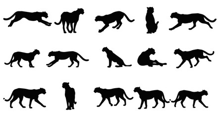 Obraz premium Cheetah Set Silhouette Vector Illustration , Animal Wildlife Silhouette Vector