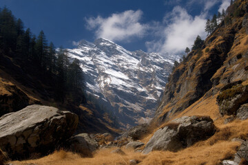 explore breathtaking beauty of world top  mountains where unique species thrive