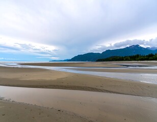 Sandy beach meets a calm bay under overcast skies