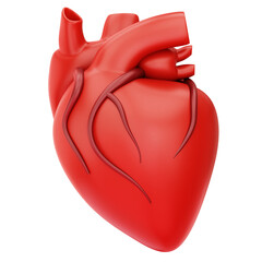 Human Heart