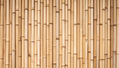 Beige Bamboo Wall Texture Background
