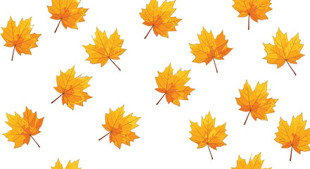 A scattered pattern of golden autumn maple leaves falling across a clean white background evoking a sense of seasonal change and natural beauty