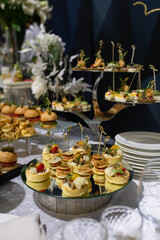 Delicate mini burgers, croissants, and canapes on a banquet table. Stylish appetizer display for weddings, corporate events, or formal gatherings.