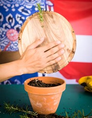 Hands placing a wooden cutting board over a pot of rosemary
