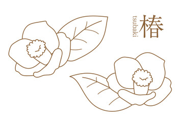 椿、イラスト、線画、カメリア、ツバキ