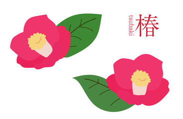 椿、イラスト、カラー、カメリア、ツバキ