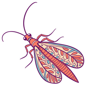 stonefly---colour-color-design-and-white-backgroun (1)