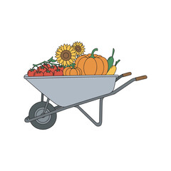 Colorful harvest in wheelbarrow featuring pumpkins, sunflowers, tomatoes, and squash – stock vector flat illustration