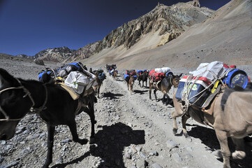 Horsemen in a river valley in the desert between the mountains. Gray mountains. Bare mountainous terrain