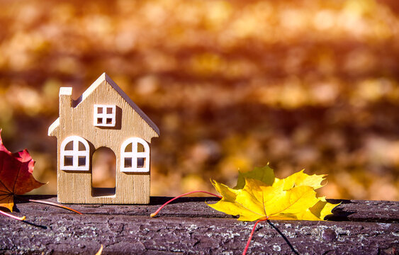 The symbol of the house stands among the fallen autumn leaves
