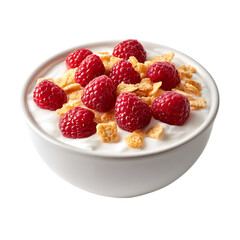 Bowl of Yogurt with Raspberries and Cereal png