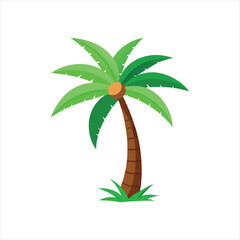 Coconut Palm Tree Silhouette with Green Leaves and Single Coconut