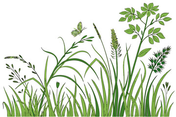 "Wild Meadow Grass Border Vector"
