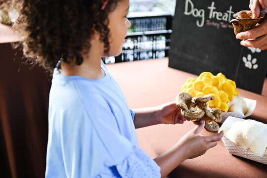 Large bunch of yellow oyster mushrooms held in hands