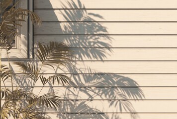 Tropical fronds cast shadows on a white horizontal clapboard wall, beside a window. The scene is sunlit and bathed in a warm, golden tone