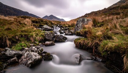 Long-exposure brook turning to satin band muted natural palette open area representing tranquil water motion suitable for calm nature and editorial design