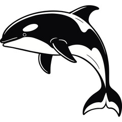 Orca Whale Black and White Line Art Vector Design