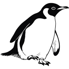 Adorable Penguin Black and White Line Art Vector Illustration